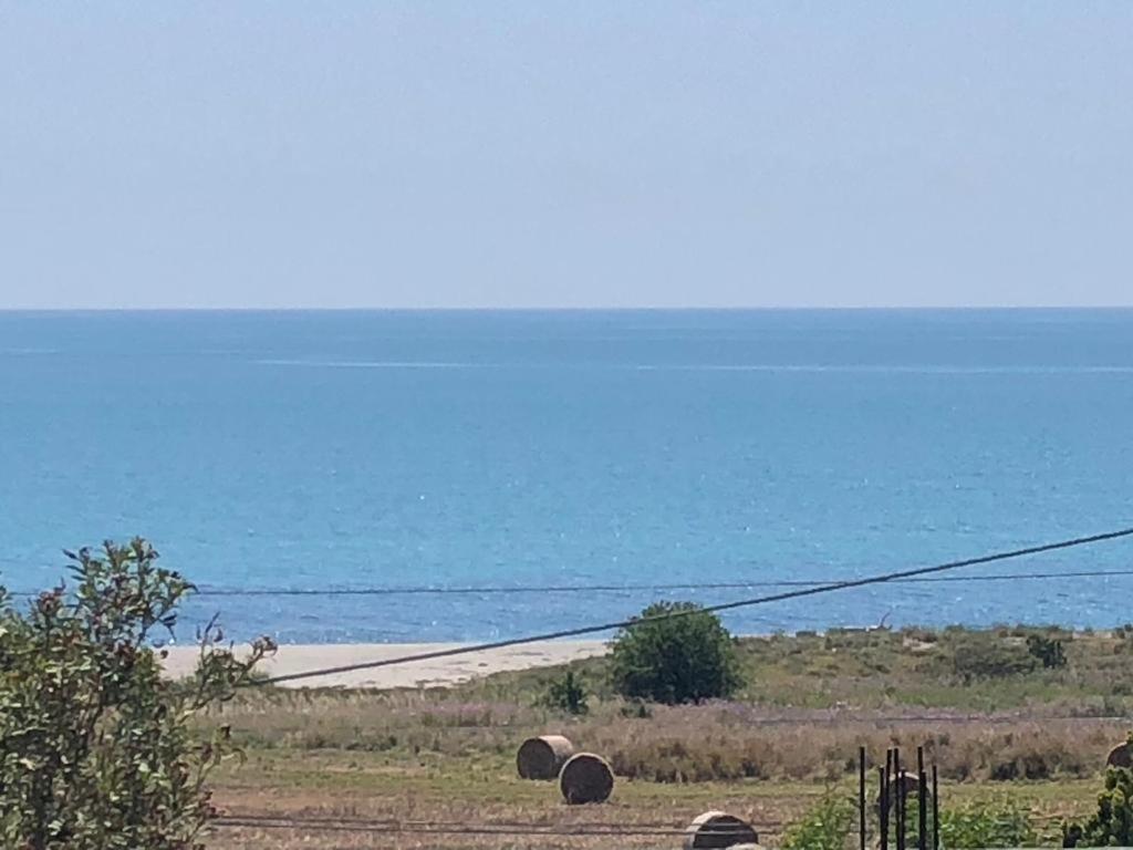 Appartamento L'Ulivo Бранкалеоне-Маріна Екстер'єр фото